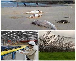 Chỉ đạo, điều hành của Chính phủ, Thủ tướng Chính phủ nổi bật tuần