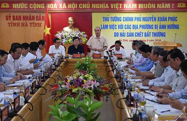 Thủ tướng: Điều tra nguyên nhân cá chết, không được bao che