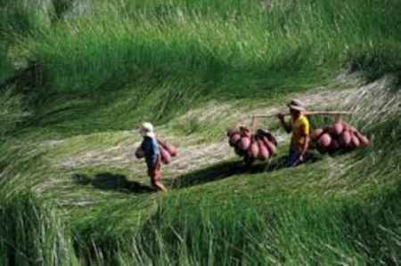 Vùng đất khai sinh tiểu thuyết 'Mảnh đất lắm người nhiều ma'