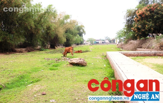 Khu đất tại ao Vụng Bể đang để hoang