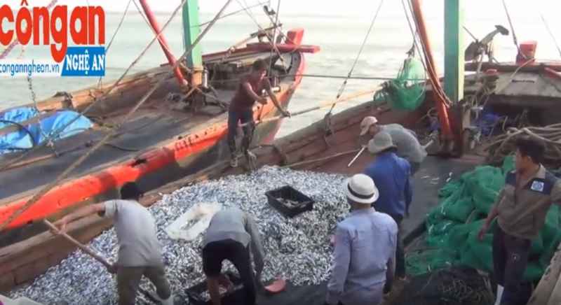 Nghệ An: Thị trường hải sản đang dần phục hồi