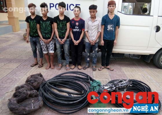Hà Tĩnh: Nhóm 9x chuyên cắt trộm cáp viễn thông