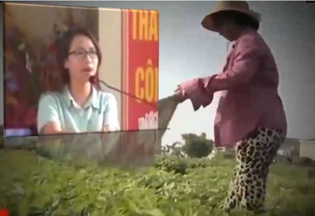 Phóng viên VTV bị đình chỉ vì đưa thông tin sai sự thật