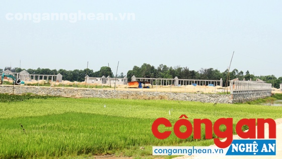 Vị trí đất do UBND xã Nghi Khánh quản lý nhưng UBND xã Nghi Thịnh lập hồ sơ để nhận tiền đền bù