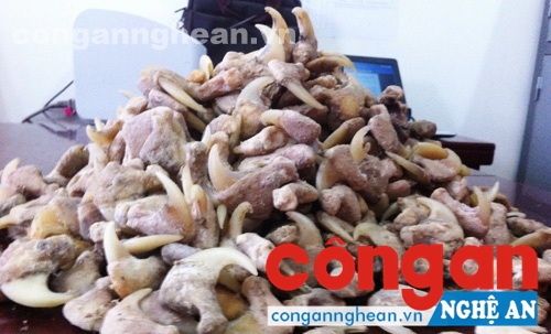 Tang vật móng vuốt hổ bị thu giữ