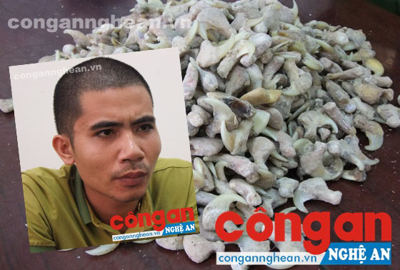 Gần 100 ngày truy tìm kẻ buôn bán móng vuốt hổ trị giá gần 2 tỉ đồng