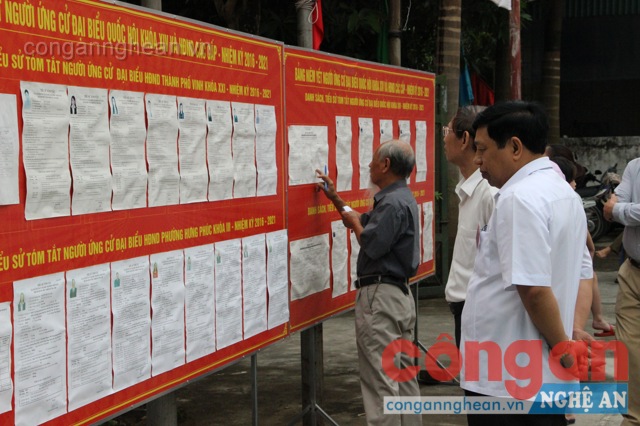 Cử tri nghiên cứu tiểu sử của các ứng viên