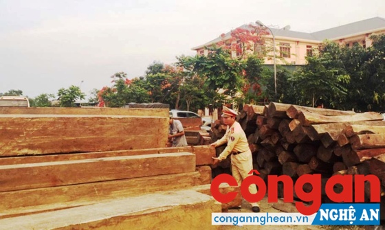 20 ngày, phát hiện 17 vụ vi phạm pháp luật trên đường tuần tra