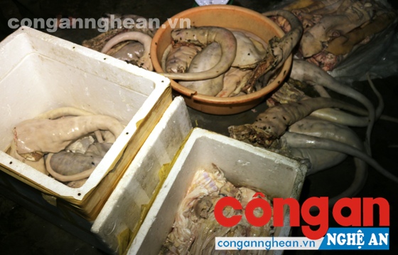 Tang vật thu giữ.
