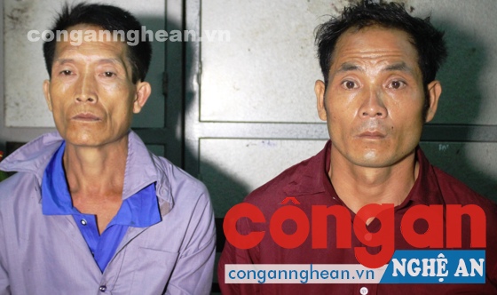 Các đối tượng trong Chuyên án