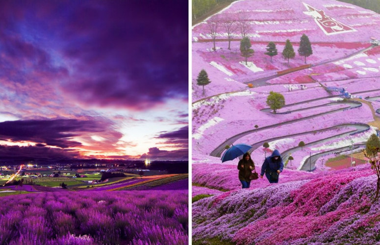 Hokkaido, Nhật Bản: Nếu tới Nhật Bản, bạn nên ghé thăm hòn đảo Hokkaido. Bạn sẽ ngạc nhiên khi tới đây bởi những nét kiến trúc vô cùng hiện đại được kết hợp rất hài hòa với từng đường nét của thiên nhiên.