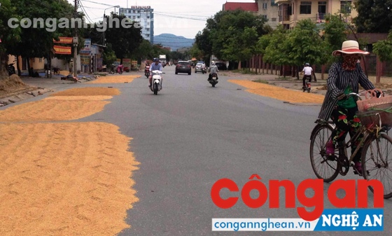 Đường biến thành nơi phơi lúa