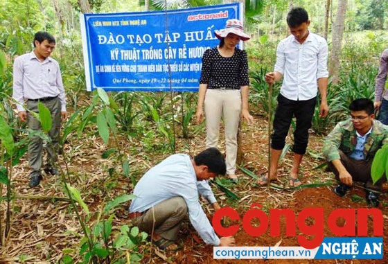 Tạo sinh kế bền vững cho thanh niên dân tộc thiểu số