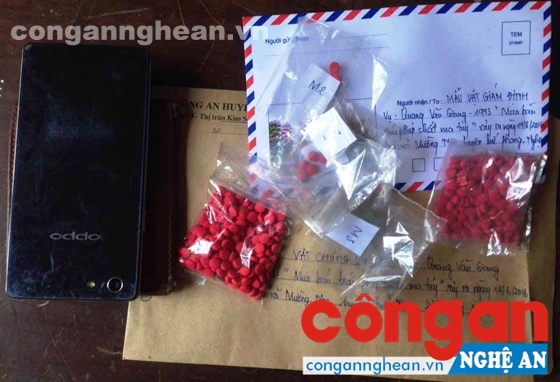 Tang vật bị thu giữ