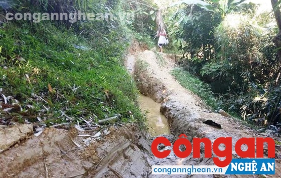 Con đường vận chuyển gỗ của “lâm tặc” tạo thành những vết lõm kéo dài