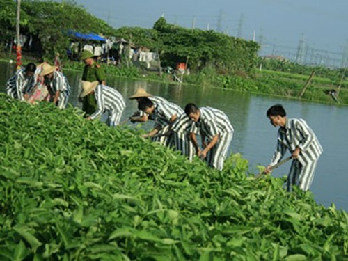 Từ 1/7, mở rộng áp dụng hình phạt không giam giữ