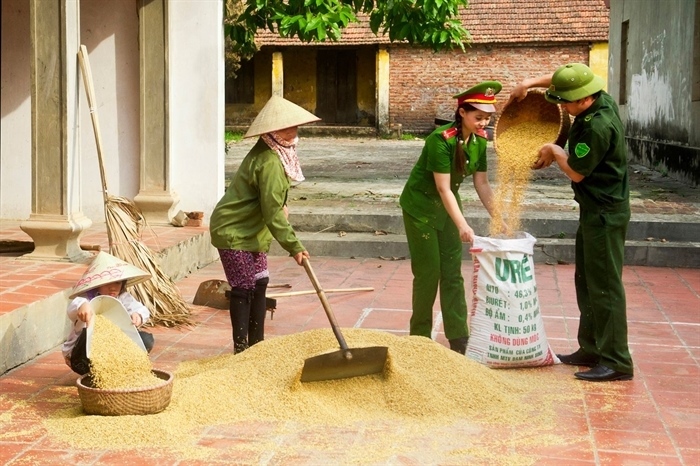Tận tình giúp đỡ bà con vào mùa vụ. (Ảnh: Trần Tuấn Anh)