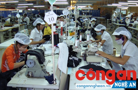 Chi trả bảo hiểm thất nghiệp: Kịp thời, đúng chế độ