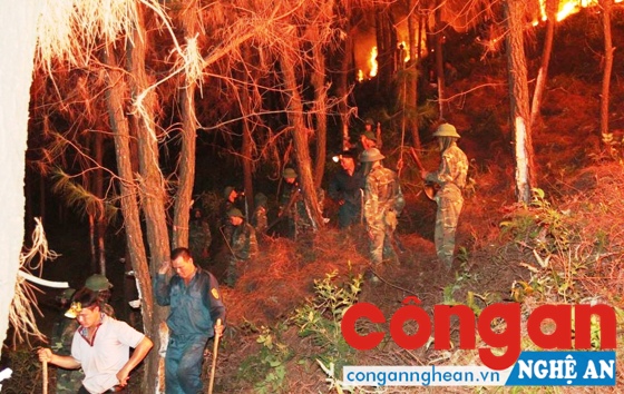 Các lực lượng Công an, Quân đội, Kiểm lâm phối hợp chữa cháy rừng.