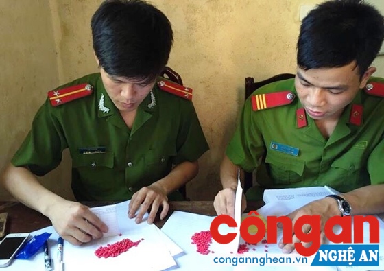 Công an huyện Quế Phong kiểm tra, giám định số ma tuý thu giữ