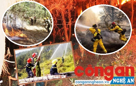 Chủ động phòng cháy, chữa cháy rừng