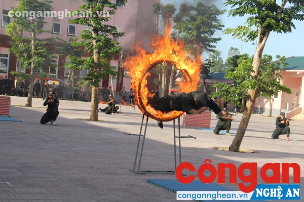 Vượt qua vòng lửa