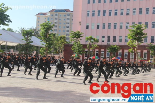 Kỹ thuật chiến đấu võ CAND