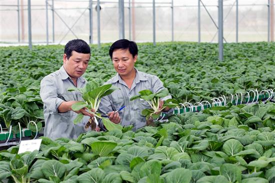 An toàn thực phẩm không chỉ vì người tiêu dùng
