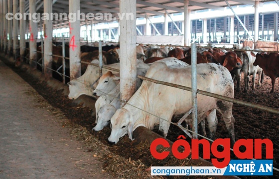 Nhiều thách thức trong bối cảnh hội nhập