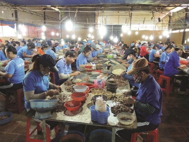 Ở những nơi bóng hồng vượt dốc
