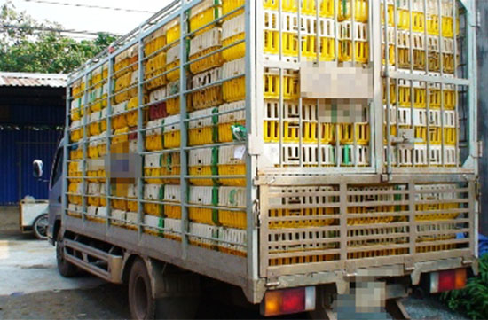 Vận chuyển hàng không rõ nguồn gốc