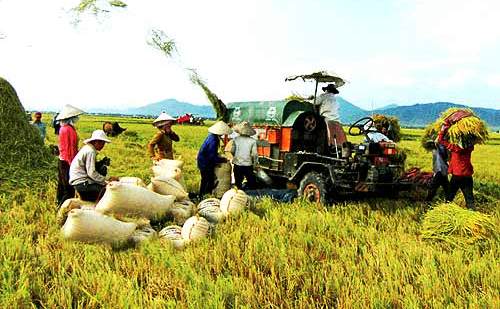 Nghệ An đứng thứ 3 toàn quốc về tiến độ xây dựng nông thôn mới