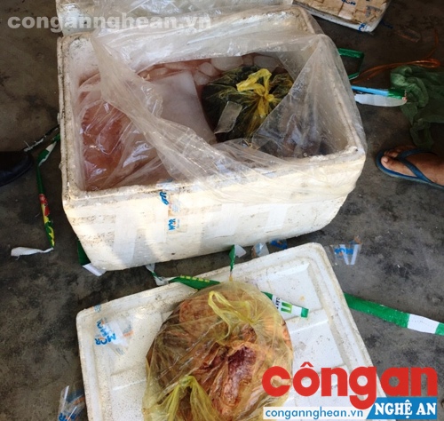 Lô hàng nội tạng động vật không rõ nguồn gốc, xuất xứ bị thu giữ