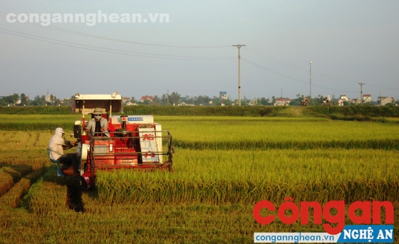 Vấn đề nông nghiệp - nông thôn luôn thu hút sự quan tâm của cử tri và đại biểu HĐND tỉnh