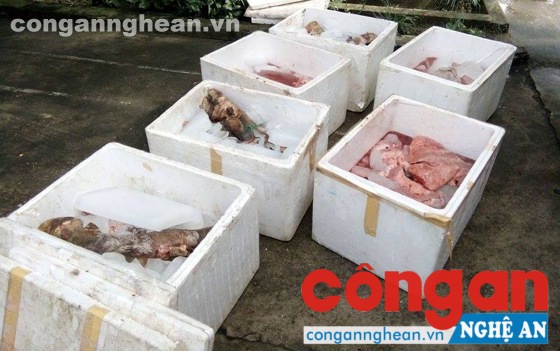 Xe buýt chở nội tạng, chân động vật không rõ nguồn gốc