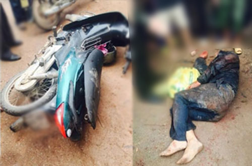 Ảnh minh họa.