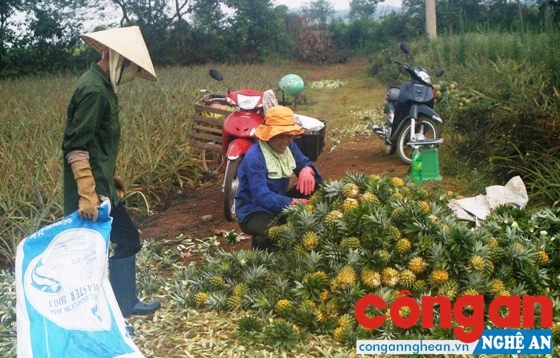 Động lực để sản xuất, kinh doanh phát triển bền vững