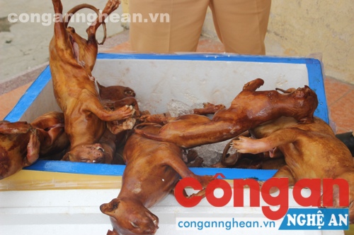 Phát hiện xe khách vận chuyển 150 kg động vật không rõ nguồn gốc