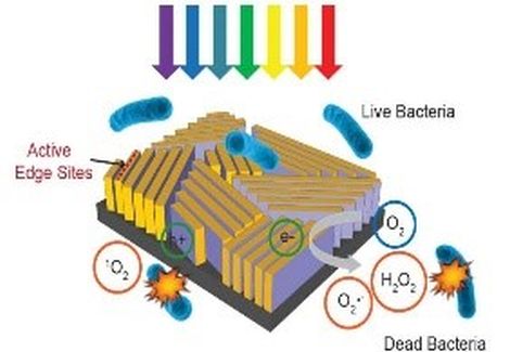 Thiết bị siêu nhỏ khử trùng nước nhanh chóng và hiệu quả