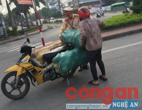 Các bì tải chứa hoa quả đã được chằng néo lại đảm bảo an toàn