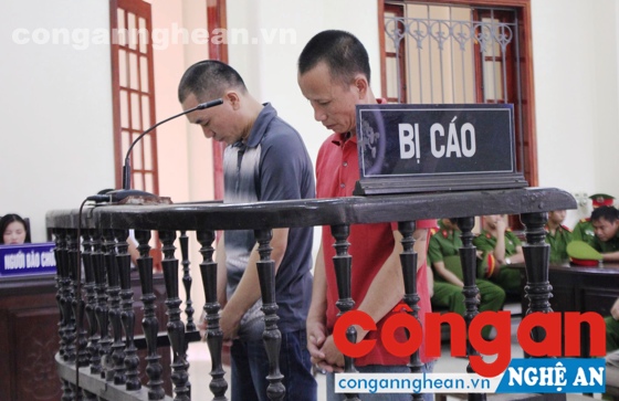 Hai án chung thân trong vụ án vận chuyển trái phép 5 kg ma túy