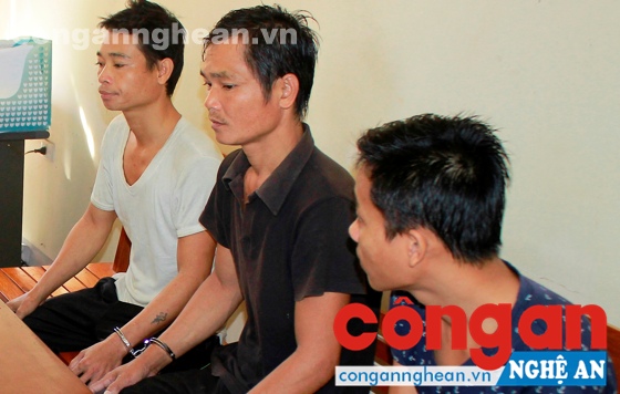 'Ngựa quen đường cũ'