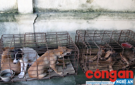 Tang vật trong vụ án