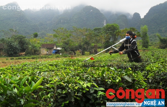Đã chuyển mình nhưng vẫn còn nhiều thách thức