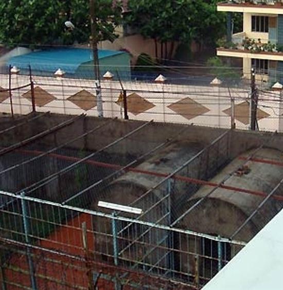 Nhân viên chăm sóc bị hổ vồ chết lúc cho ăn