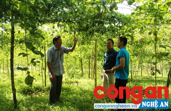 Chính sách trợ giá về giống: Hiệu quả cao song còn bất cập