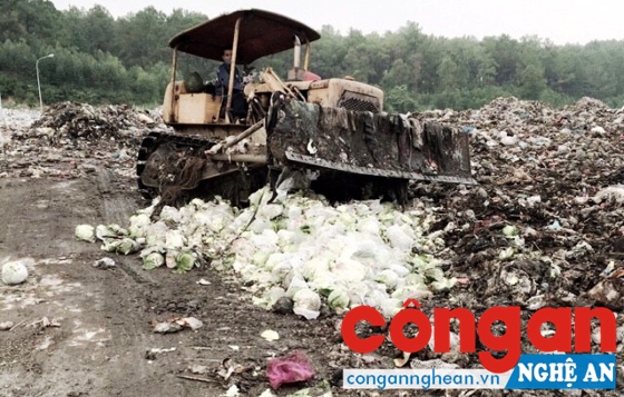 Phát hiện, xử lý 28 vụ phạm pháp về quản lý kinh tế và môi trường