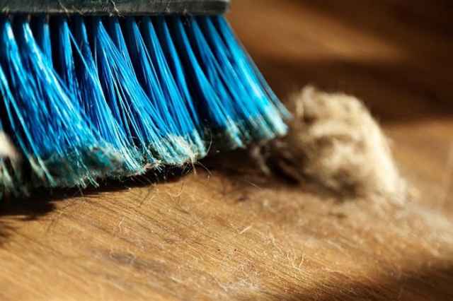 Tìm ra 45 chất độc ở bụi bẩn trong nhà