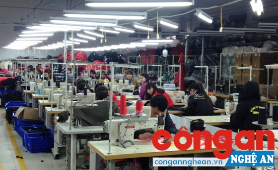 Giảm tỉ lệ thanh niên thất nghiệp: Cần có nhiều giải pháp đồng bộ