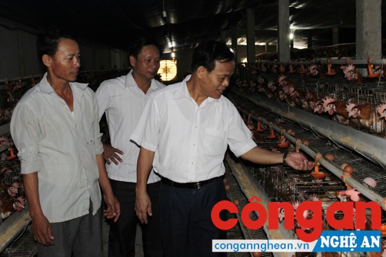 Chuyển đổi hợp tác xã: Còn gặp nhiều khó khăn